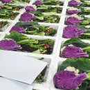 삼육사로20 이미지