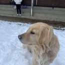 명륜여자중학교 이미지