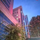 한양대 유도 | [출산 후기] 송파고은빛 정다와원장님 초산모 유도분만 출산후기