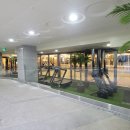 크로스핏레이크 이미지