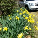 수림농장 이미지