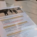 4975 | 안산축구교실 솔레아스풋볼 고잔점 두 번 만에 결승골? 유치부 축구 천재 탄생 후기