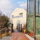 용인실내게이트볼장 이미지