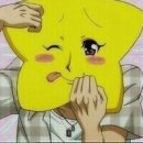 새나라폰