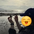 숲속노을로(2) | [충남 태안] 바다 바로 앞 바다뷰 캠핑장 ‘태안노을숲캠핑장’ 해루질도 하고 온 후기
