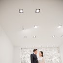 모멘트H+ 이미지