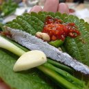 과메기 티스토리