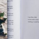 포엠(Poeme) 이미지