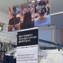 모아세탁마을 | W31. 한복스냅 포기 못한 한친자의 한복대여, 전주한복대여 전주한옥마을한복대여 라라빈관 한복대여 후기💍