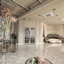 라온제나 이미지