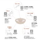 미애부울산