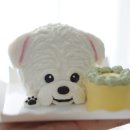 댕댕상점 이미지