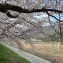 운문댐하류보4 이미지