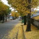 장기중학교 이미지