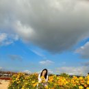 해바라기PC방 이미지