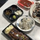하마 장어