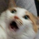 성복2로 이미지