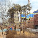 청옥중학교 이미지