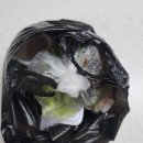 종로-신영-종로-영-455 | 아차산역 추천 곱창맛집 종로곱창-노포맛집 포장후기