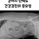 동탄원더스동물의료센터 이미지