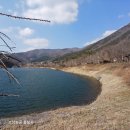 정옥민 박사 테라 면역 센터 이미지