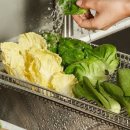 클럽아이리스 이미지