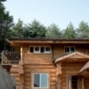 숲속통나무 이미지