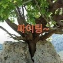 미소와행복 이미지