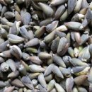 목련약국 이미지