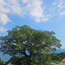 남해-300 이미지