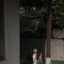 하우어바웃댓
