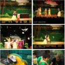 [동물뮤지컬]대전고별쇼-정글로간백설공주-특별예매 이미지