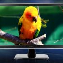 바젤PC방 이미지