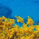 호암농장2 이미지