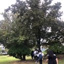 영종중학교 | 191002 영종중학교 캠퍼스투어 후기