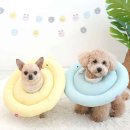 베프마켓 이미지