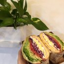 성내동 카페 추천 다인카페 내돈내산 후기 l 성내동 샌드위치 대량주문 맛집!