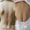 지엘화장품