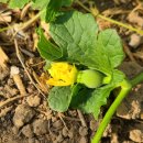 필자농장 이미지