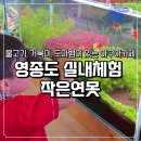 작은연못 | 영종도 아기랑 실내체험 가능한 아쿠아카페 작은연못 6세 아이랑 도마뱀 거북이 체험 후기