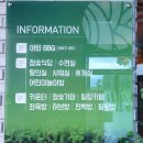 천곡참숯가마찜질방 이미지