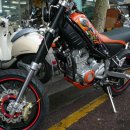 형제보링 이미지