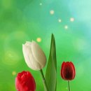 꽃망울피아노 앞 이미지