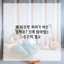 안녕, 댕댕이 이미지