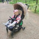 골드웨건 | 다양한 1인용, 2인용 유모차&amp;트라이크&amp;웨건 사용 후기