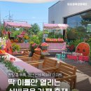 [경북/축제]2026년 6월 경산 카페 축제 일정 총정리｜남천둔치 신비복숭아 디저트와 카페 투어 즐기기