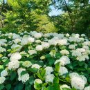 수안영농조합법인 이미지