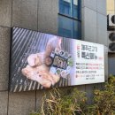 제주올레근고기