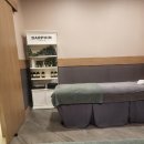 더 하노이 이미지