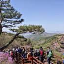 고려산 진달래 꽃 구경 나드리 이미지